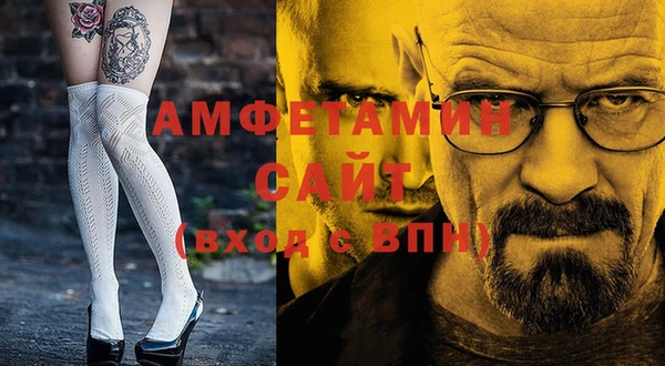 шишки Арсеньев
