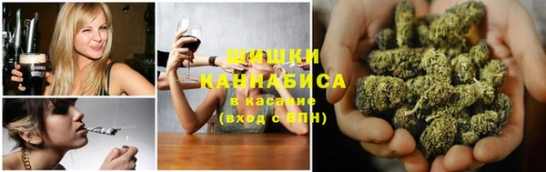 шишки Арсеньев