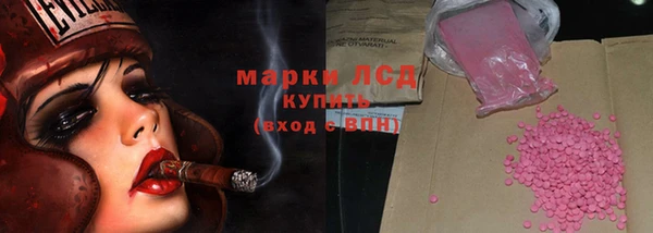 шишки Арсеньев