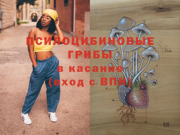 шишки Арсеньев