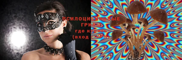 шишки Арсеньев