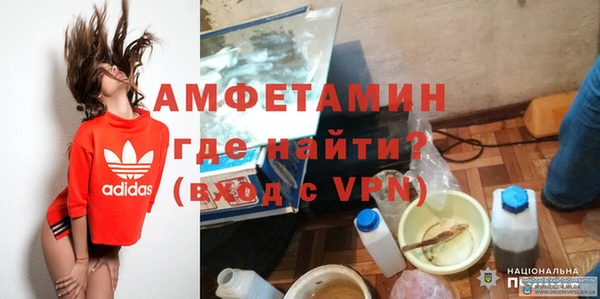 шишки Арсеньев