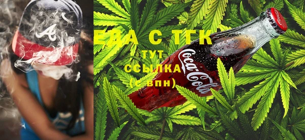 шишки Арсеньев